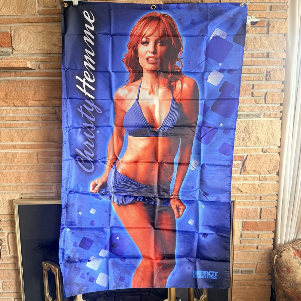 Christy Hemme Impact Wrestling Cloth Banner 36x58 Swimsuit V-Series TNA Poster